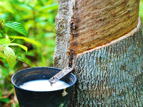 什麼是乳膠、天然橡膠、合成橡膠？